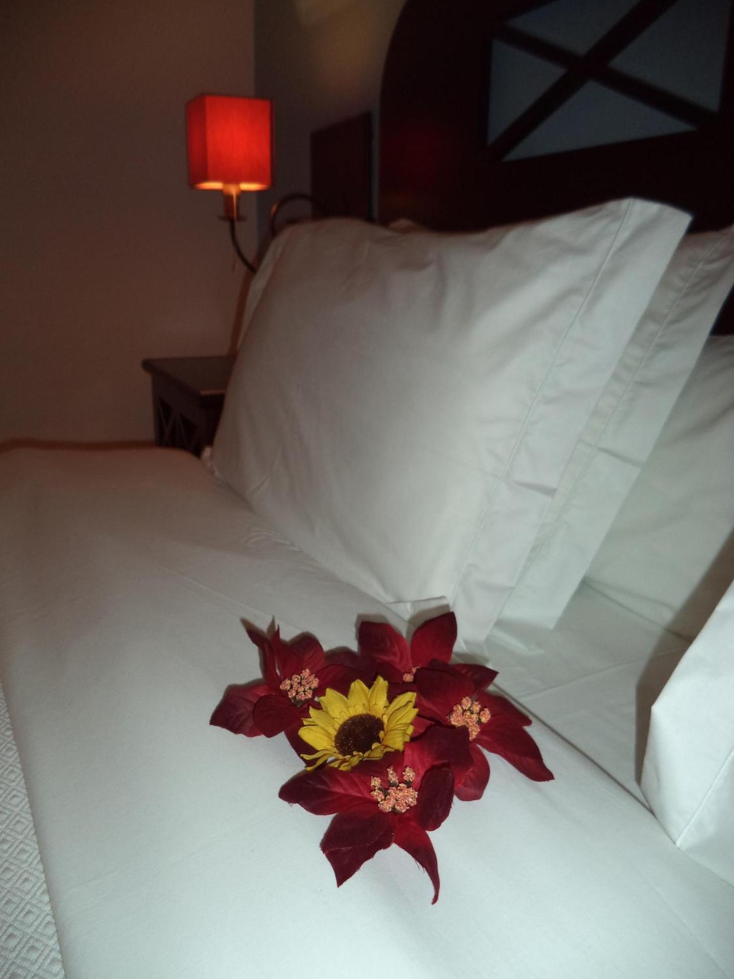 Hotel Rural Monte Da Leziria Santo André Quarto foto